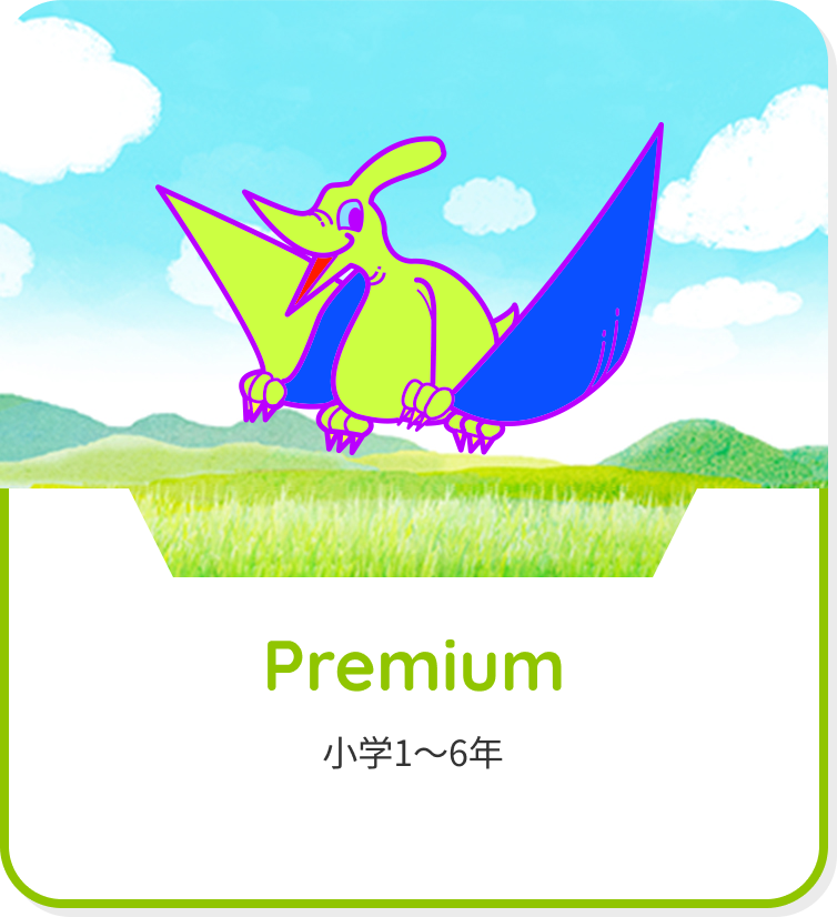Premium
